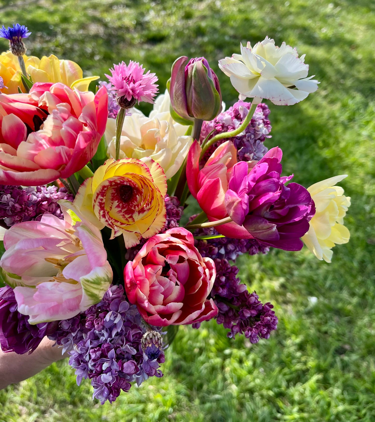 Mother's Day Flowers