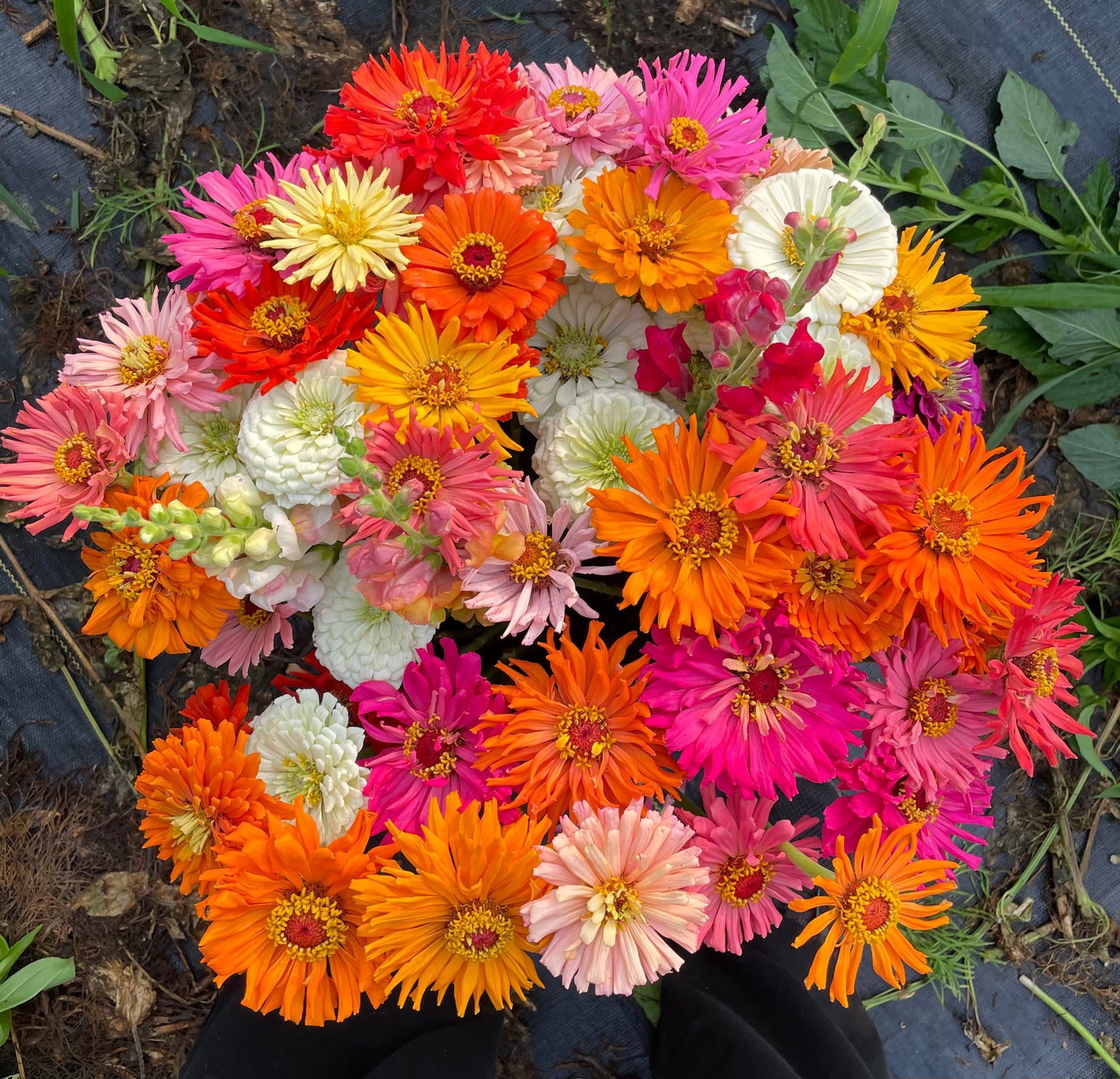 2025 Bouquet Subscription