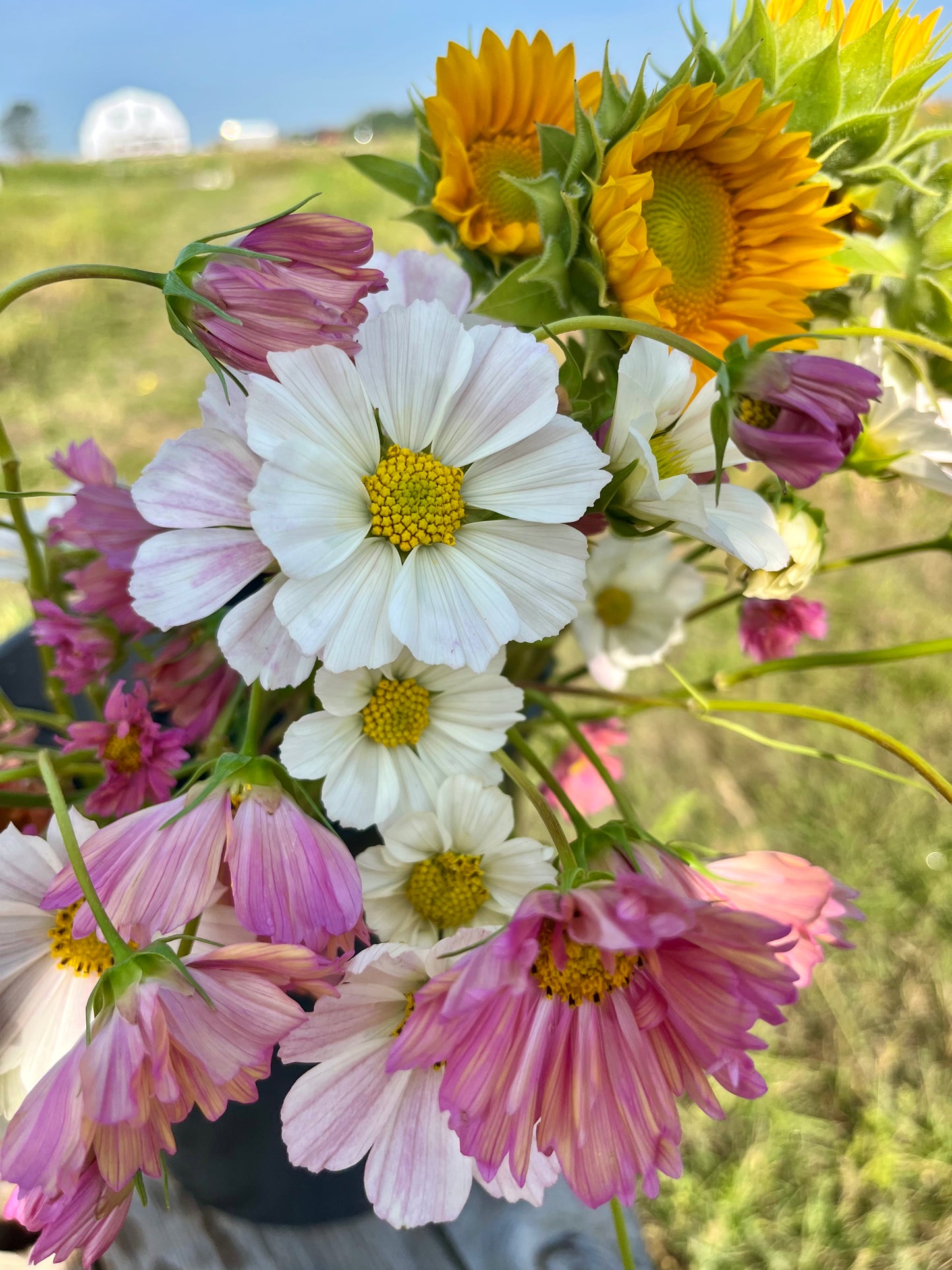 2025 Bouquet Subscription